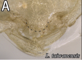 File:Leong et al. 2017 Fig. 14a.png