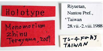 File:Monomorium zhinu labels (www.niaes.affrc.go.jp).jpg