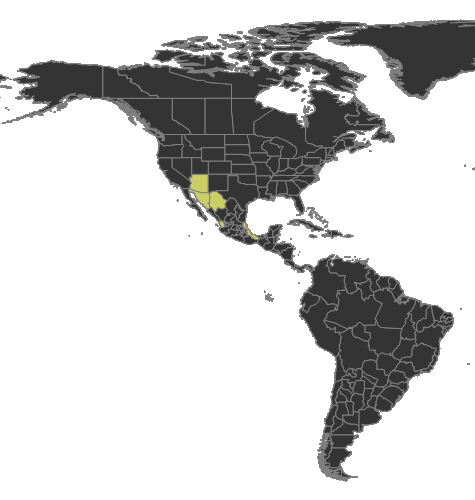 File:Crematogaster dentinodis Distribution.png