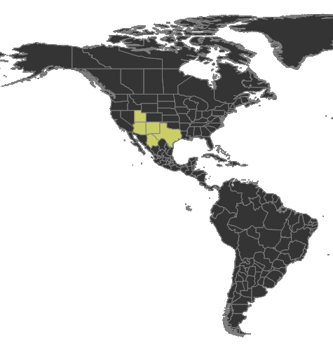 File:Camponotus acutirostris Distribution.png