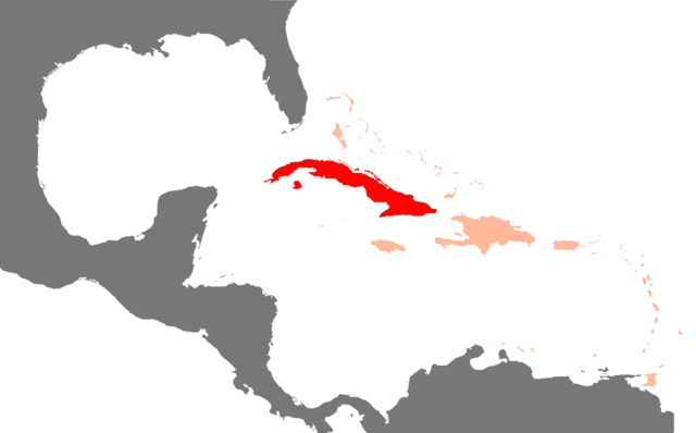 File:Karibik Kuba Position.png