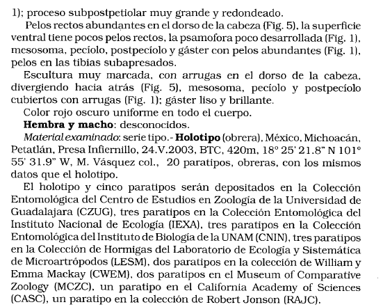 File:Vasquez-Bolanos 2004 286a.png