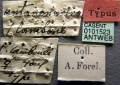 Specimen labels