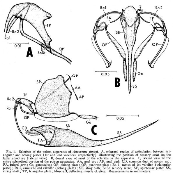 File:Hermann-1968-fig-1.jpg