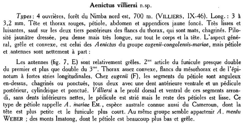 File:Aenictus villiersi desc.jpg