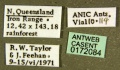 Specimen labels