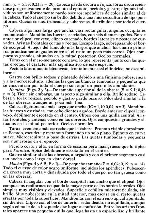 Tinaut 1990 p. 283.png