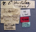 Specimen labels