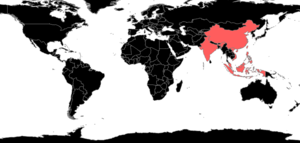 Chrysapace Species Richness.png