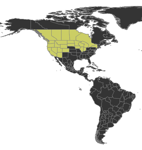 Formica obscuripes Distribution.png