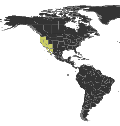 Aphaenogaster megommata Distribution.png