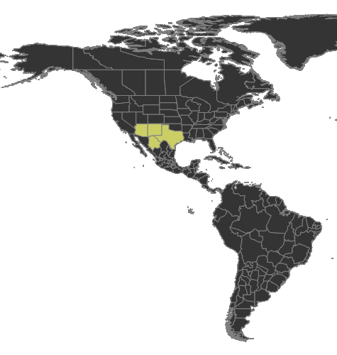 File:Aphaenogaster punctaticeps Distribution.png