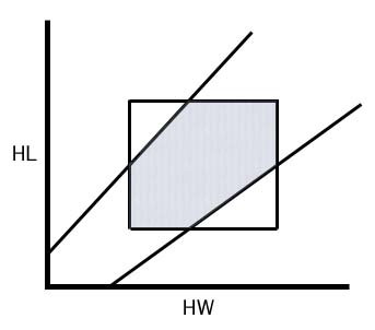 File:Pheidole character indexbenefit.jpg