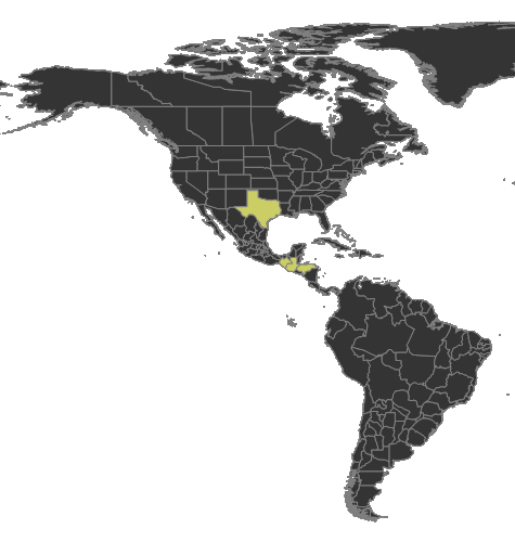 Strumigenys boneti Distribution.png