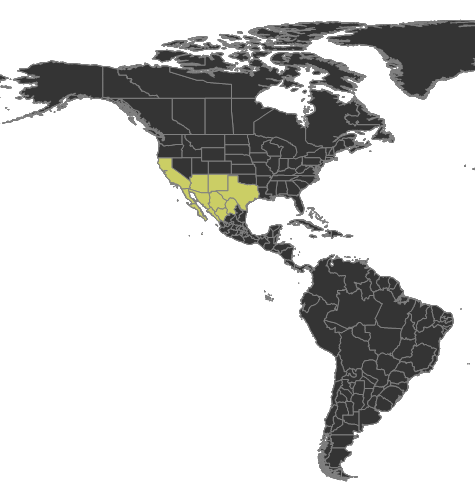 File:Acromyrmex versicolor Distribution.png