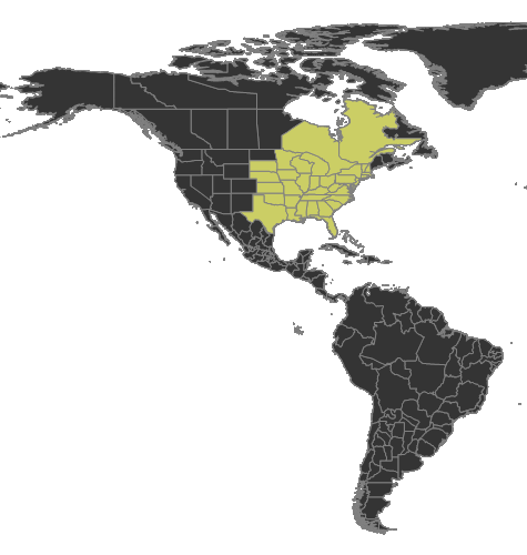 File:Aphaenogaster tennesseensis Distribution.png