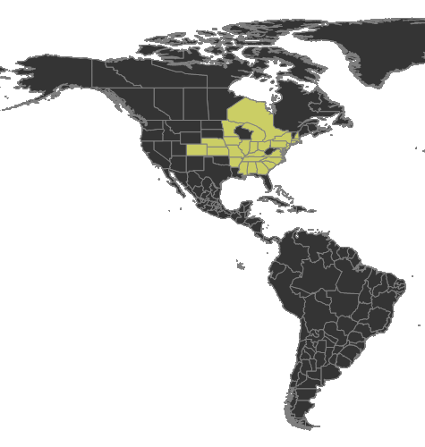 File:Aphaenogaster rudis Distribution.png