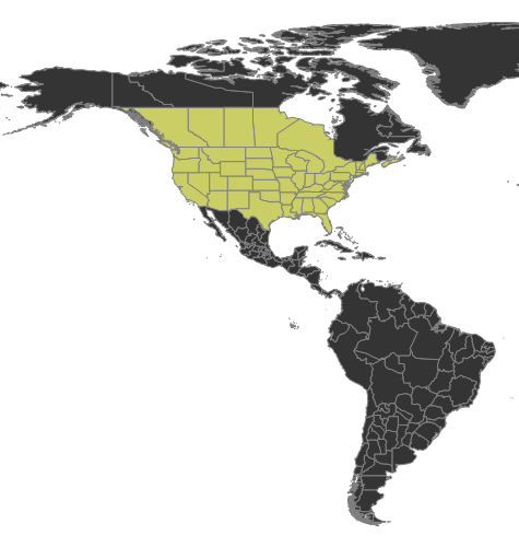 Camponotus pennsylvanicus Distribution.png