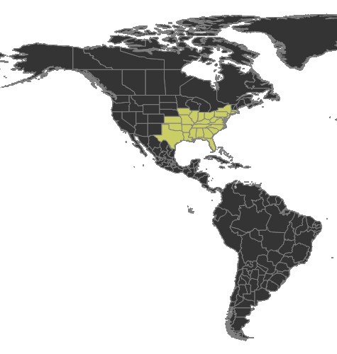 File:Camponotus castaneus Distribution.png