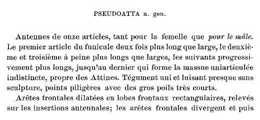 File:Gallardo 1916 p. 320.png