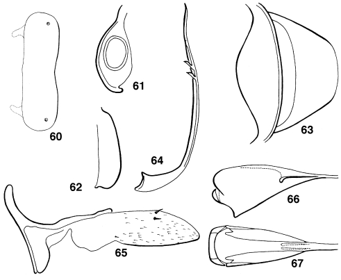 File:BrLe99-60.jpg