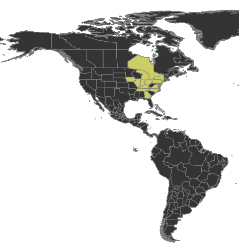 File:Camponotus subbarbatus Distribution.png