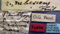 Specimen labels