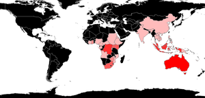 Calyptomyrmex Species Richness.png