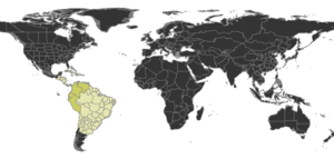 Protalaridris Distribution.png