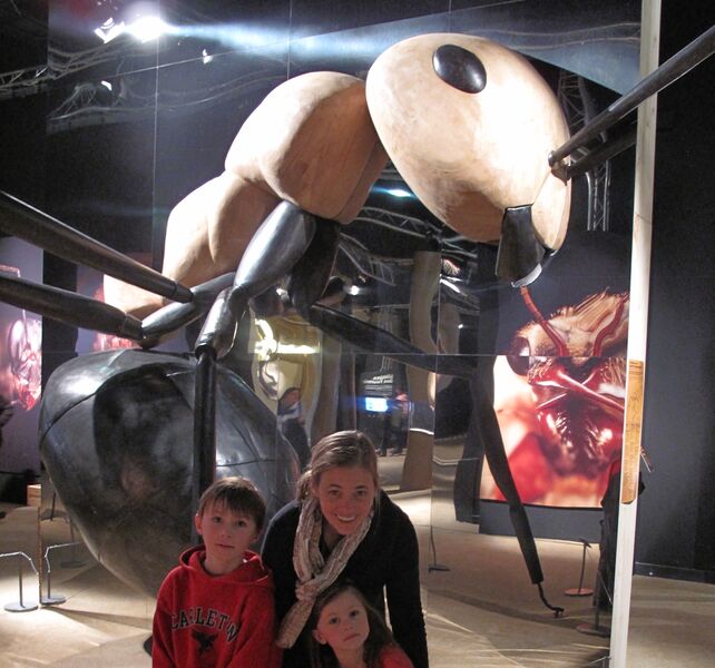 File:Giant formicine Paris Museum Peeters.jpg