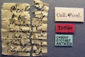 Specimen labels