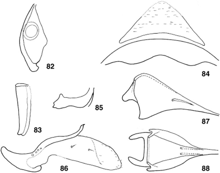 File:BrLe99-82.jpg