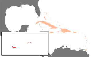 Karibik Kaimaninseln Position.png